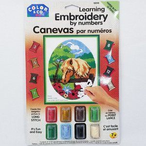 Learning Embroidery by Numbers Horse in Field -New